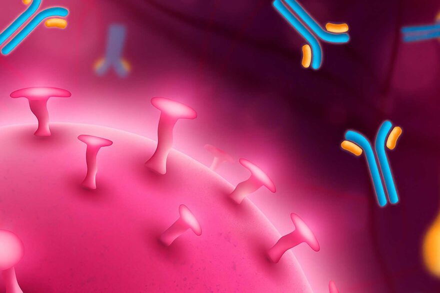 Mit gondoltak az emberi vérről a történelem során?