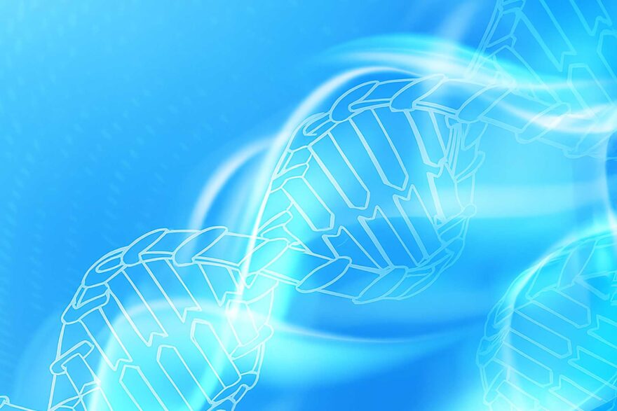 Ismerd meg Plazma központjainkat!