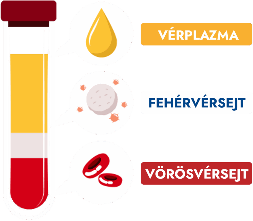 Mi is az a vérplazma?